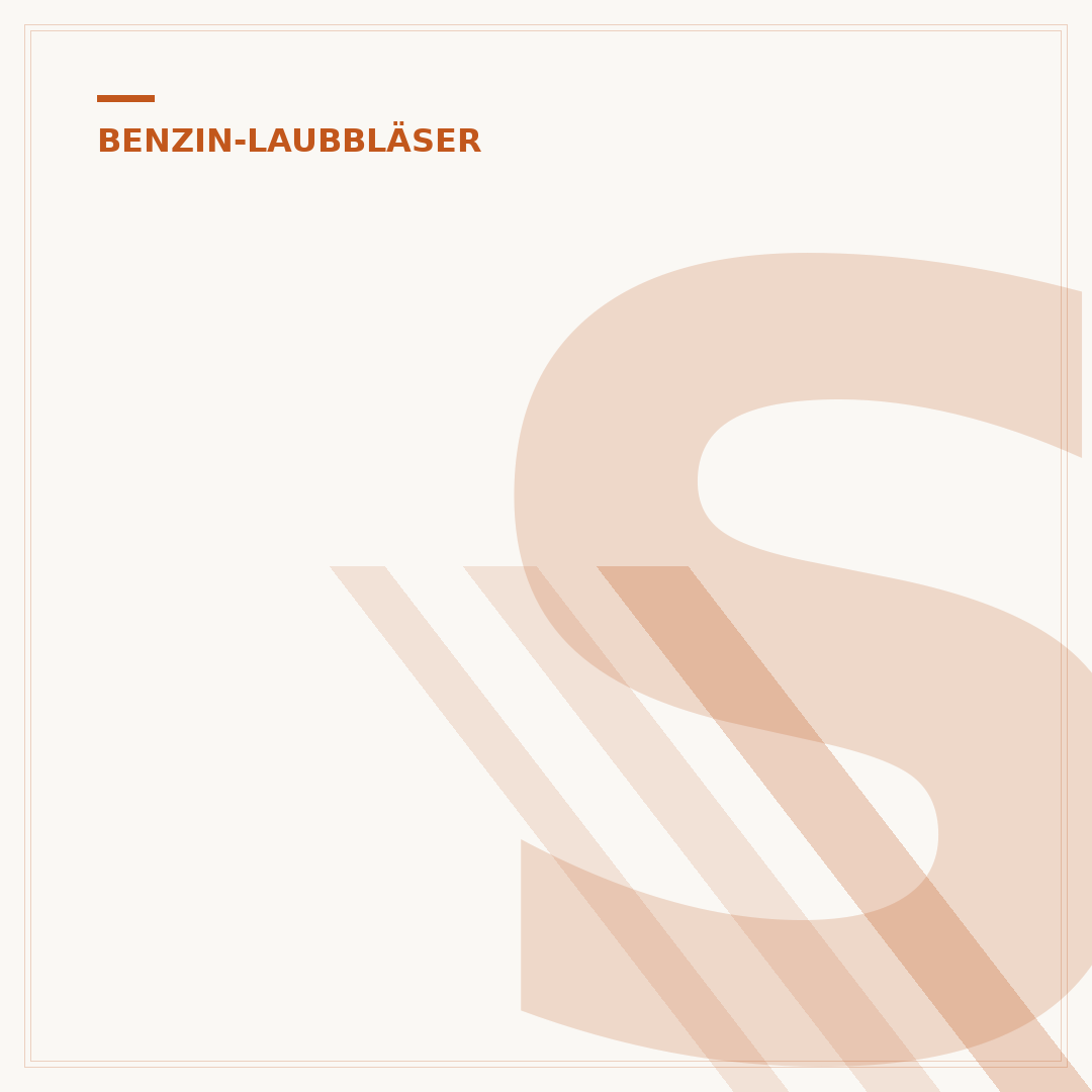 Stärkster Benzin-Laubbläser