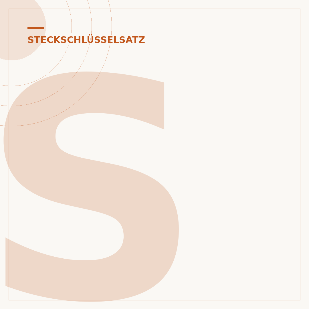 Steckschlüsselsatz 3/8 Zoll: Auswahl & Qualität prüfen