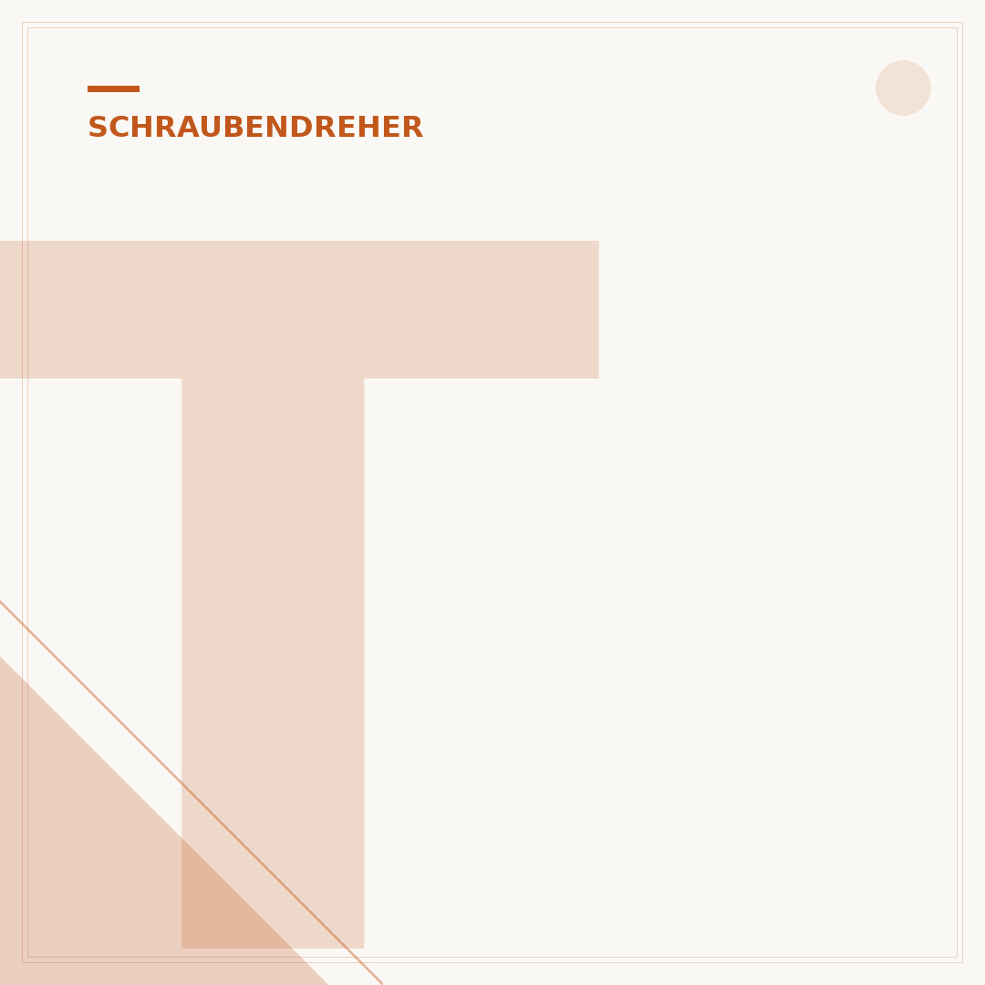 T20 Schraubendreher