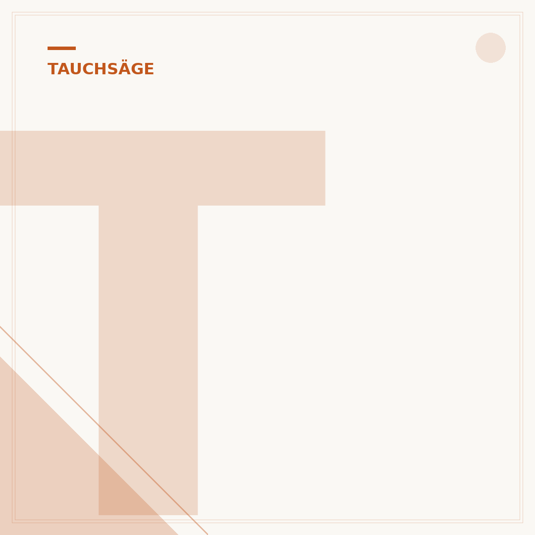 Tauchsäge Führungsschiene: Spiel einstellen für Präzision
