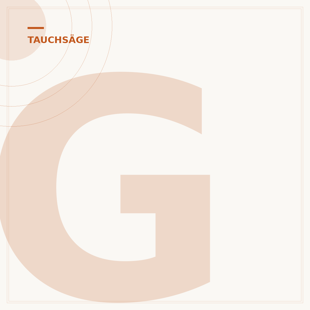 Grundplatte der Tauchsäge wechseln