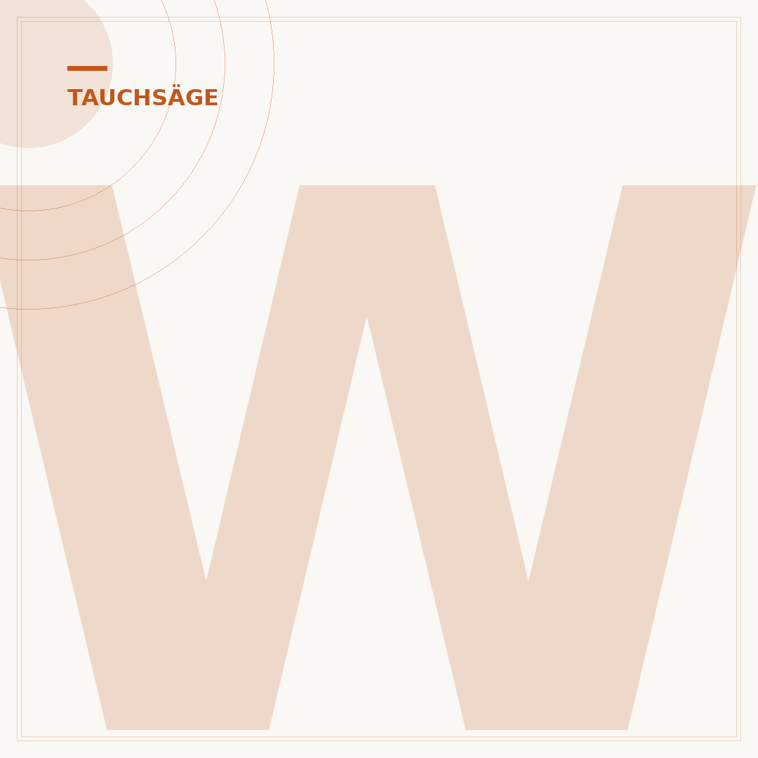 Winkel der Tauchsäge überprüfen