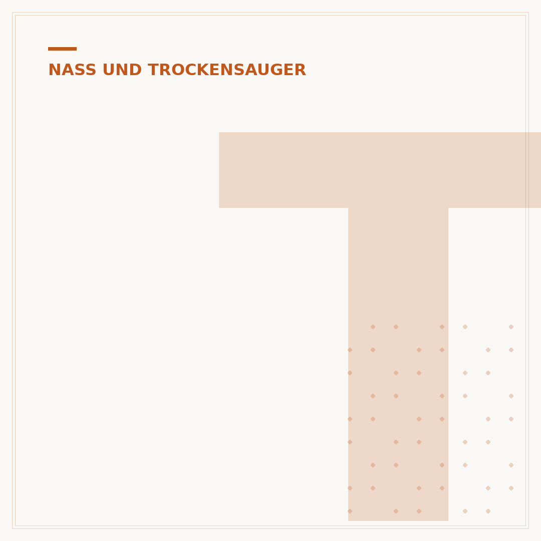 Thomas Nass- und Trockensauger: Leistung & Vergleiche