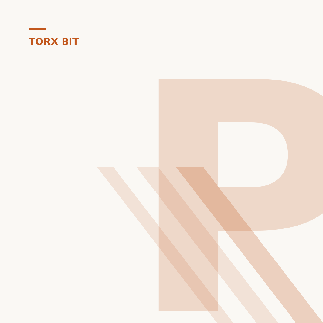 Profi Torx Bit Set