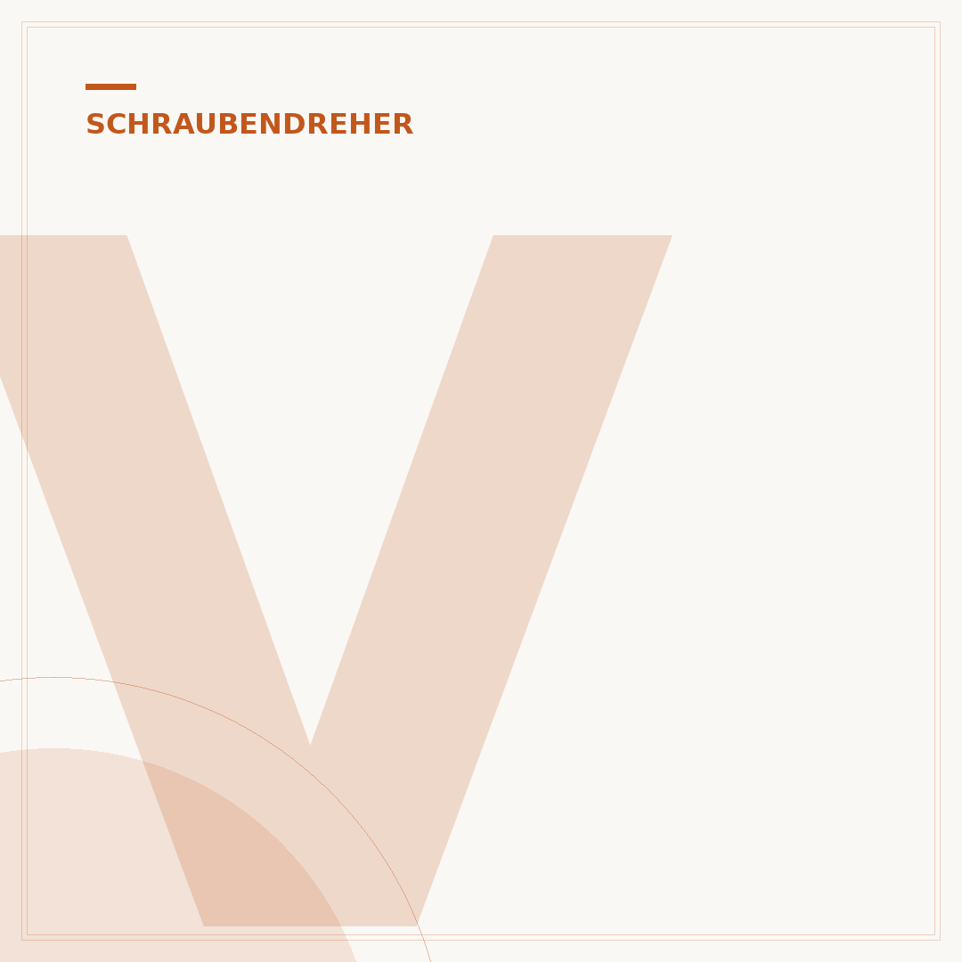 Verschlissener Torx-Schraubendreher-Bit