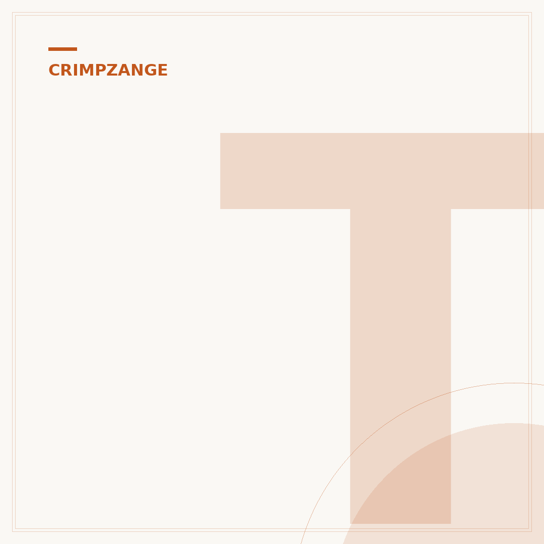 Trockenbau-Crimpzange: Auswahl & Funktion im Detail