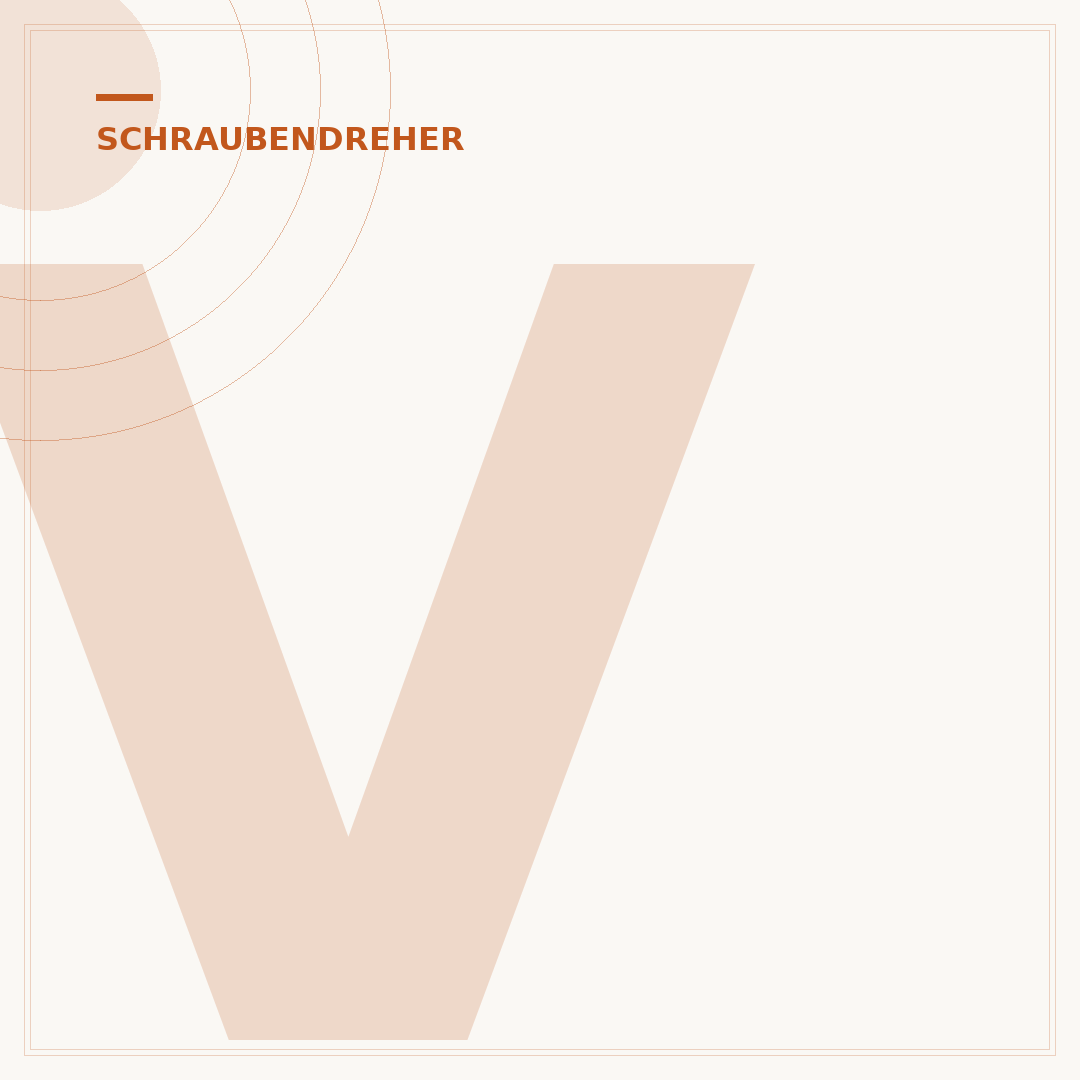VDE-Schraubendreher für Hausinstallationen geeignet