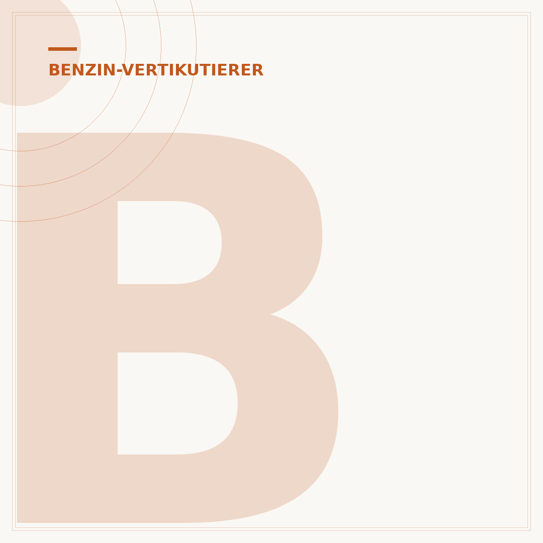 Benzin-Vertikutierer von Honda