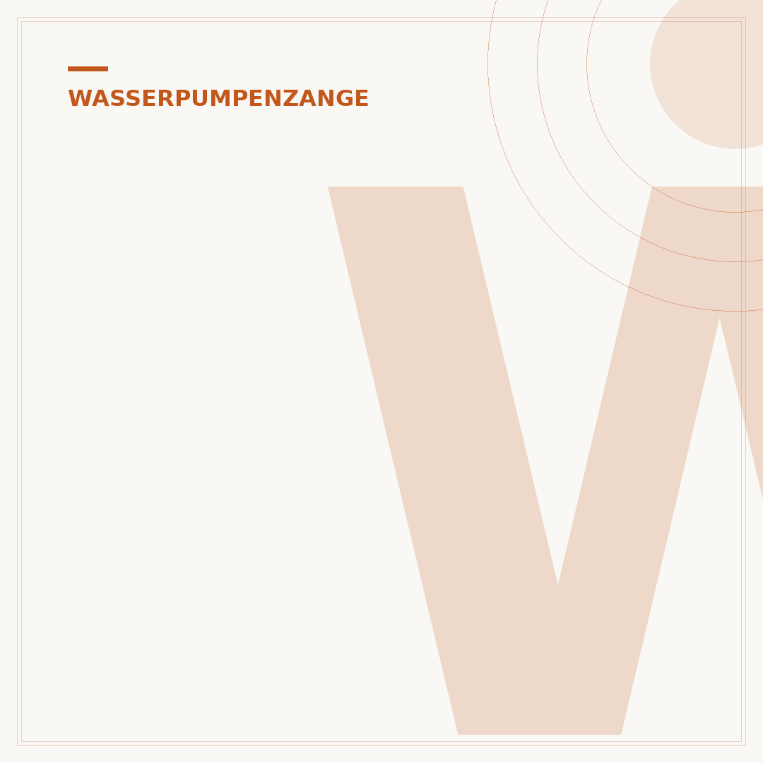 Wasserpumpenzange Gelenk Reinigen: Fehler vermeiden