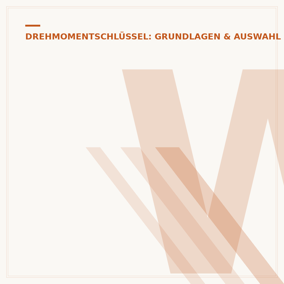 Wera Drehmomentschlüssel 20-100 Nm