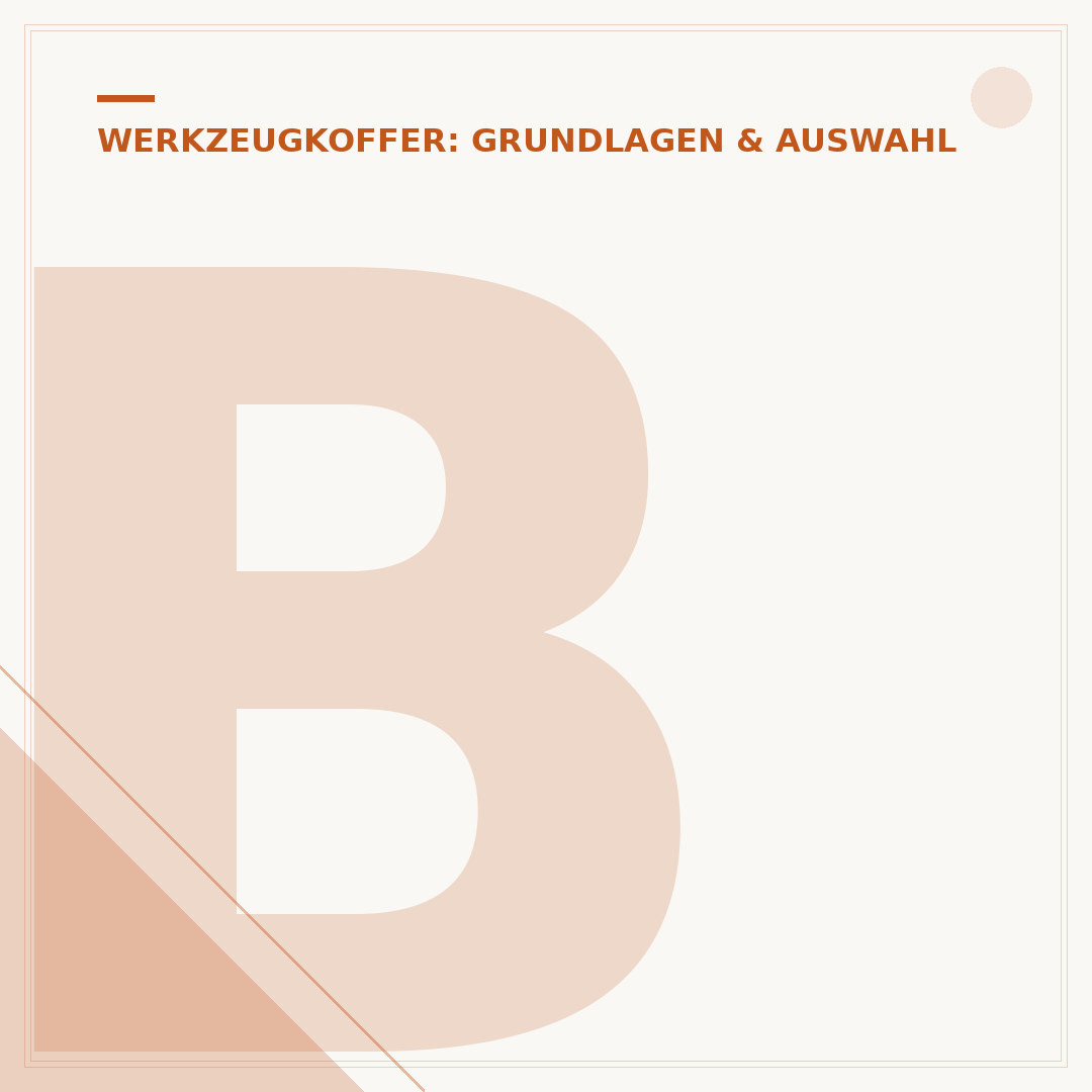 Bestückter Profi-Werkzeugkoffer