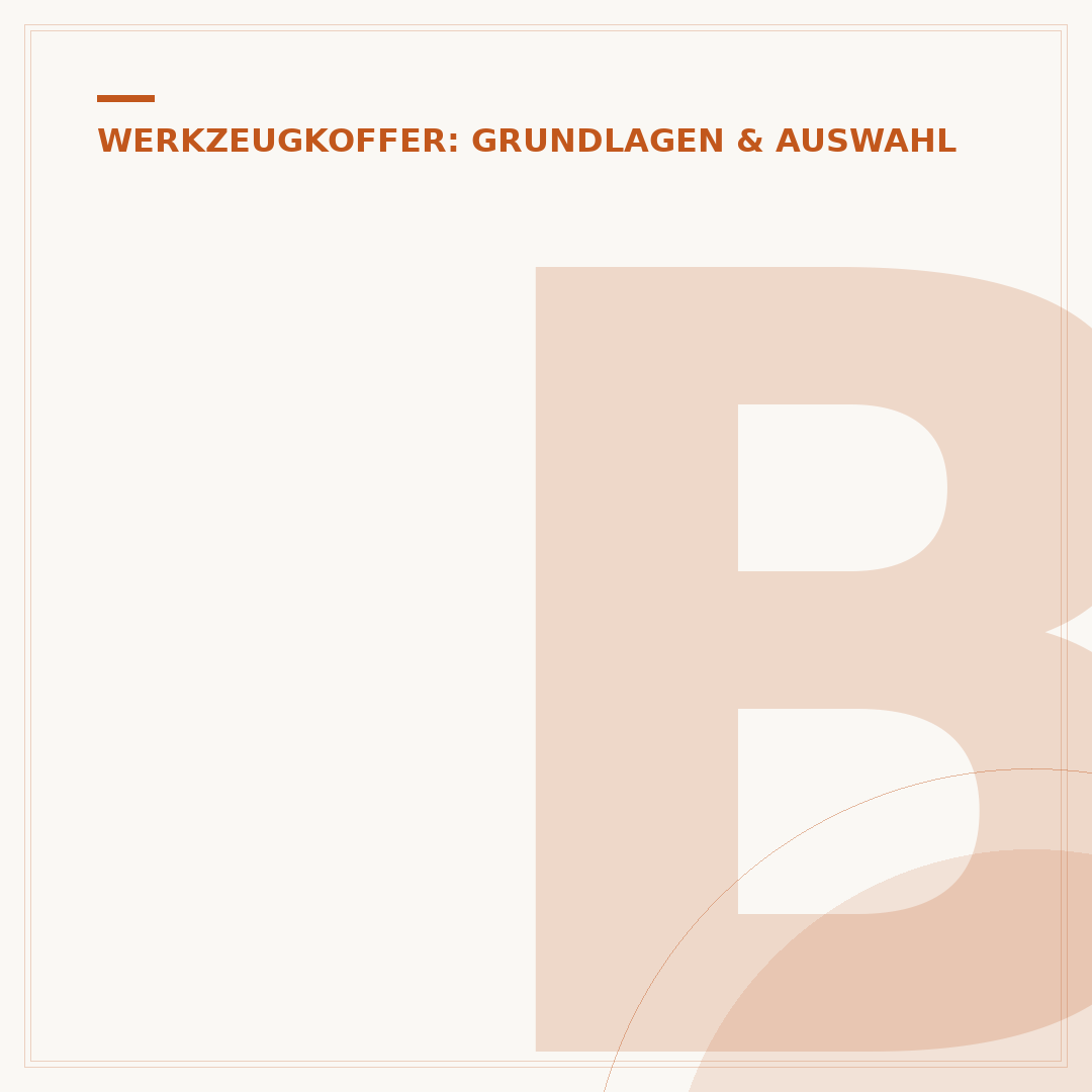 Bestückter Werkzeugkoffer