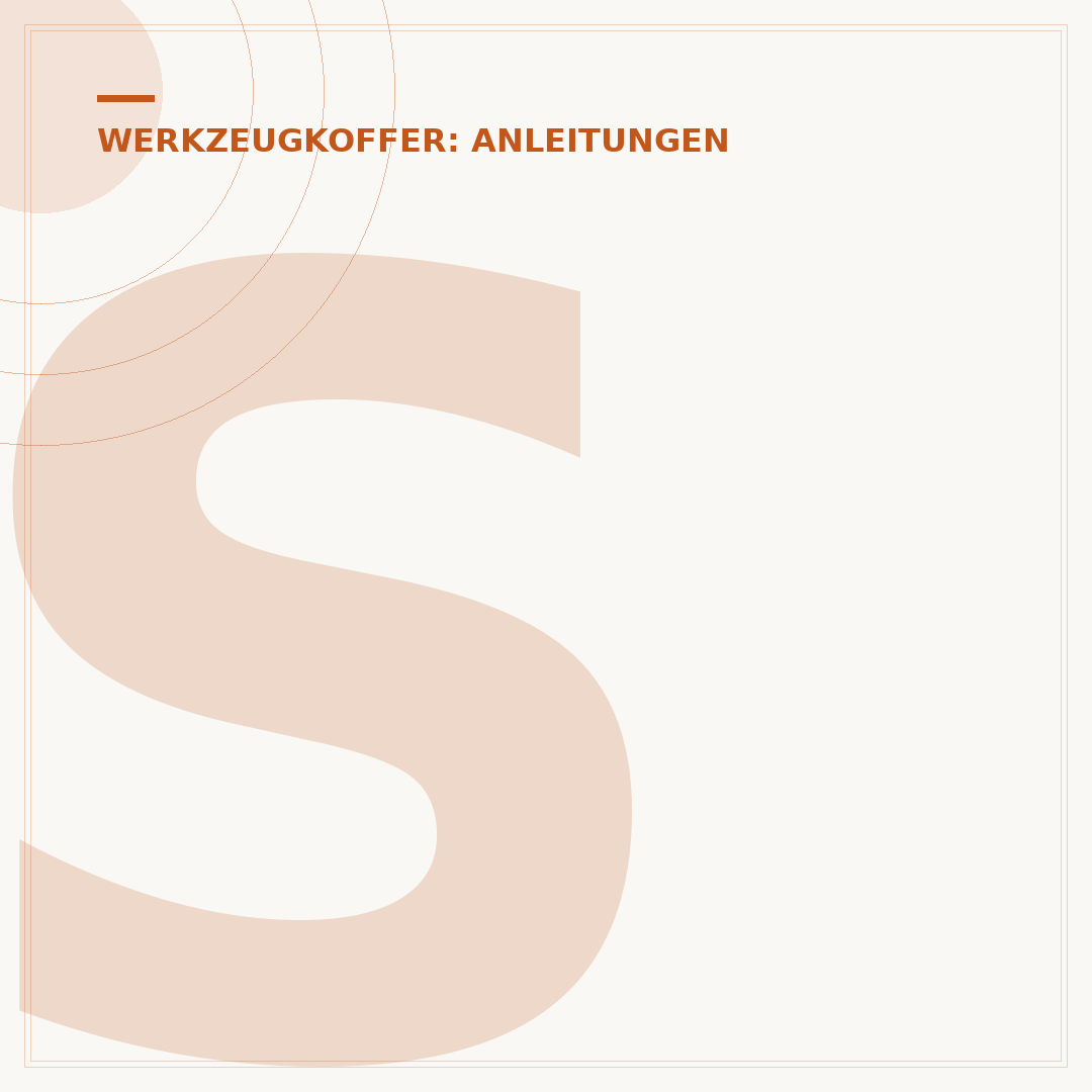 Schaumstoffeinlage im Werkzeugkoffer austauschen