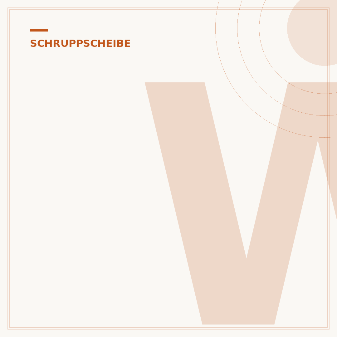 Winkelschleifer-Schruppscheibe