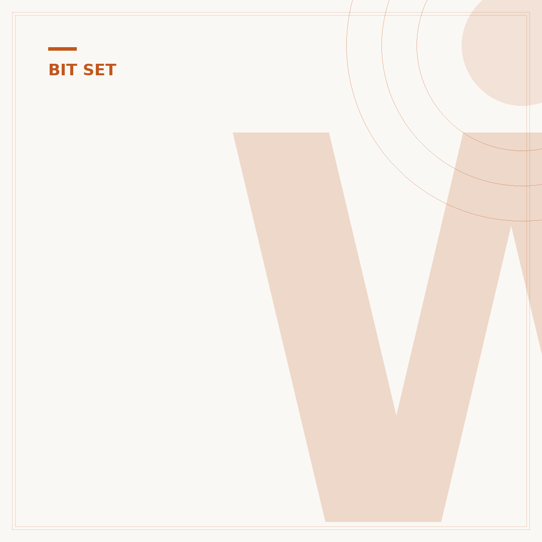 Workzone Bit Set