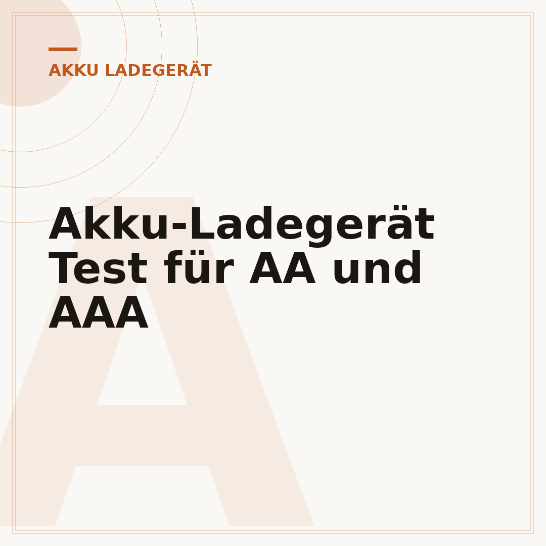Akku-Ladegerät Test für AA und AAA