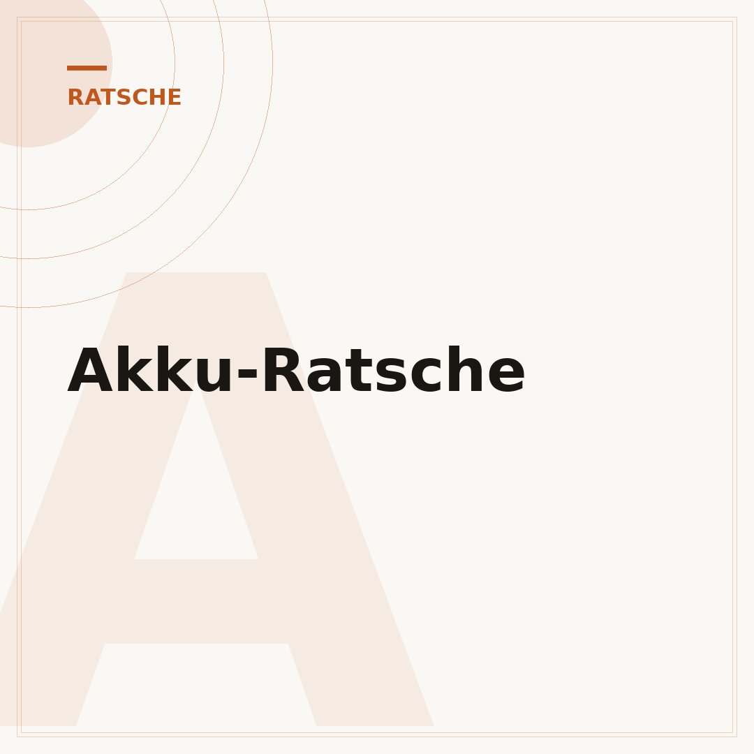 Akku-Ratsche