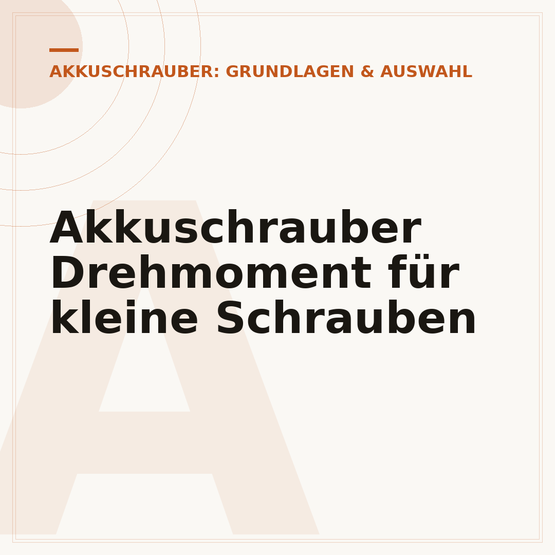 Akkuschrauber Drehmoment für kleine Schrauben