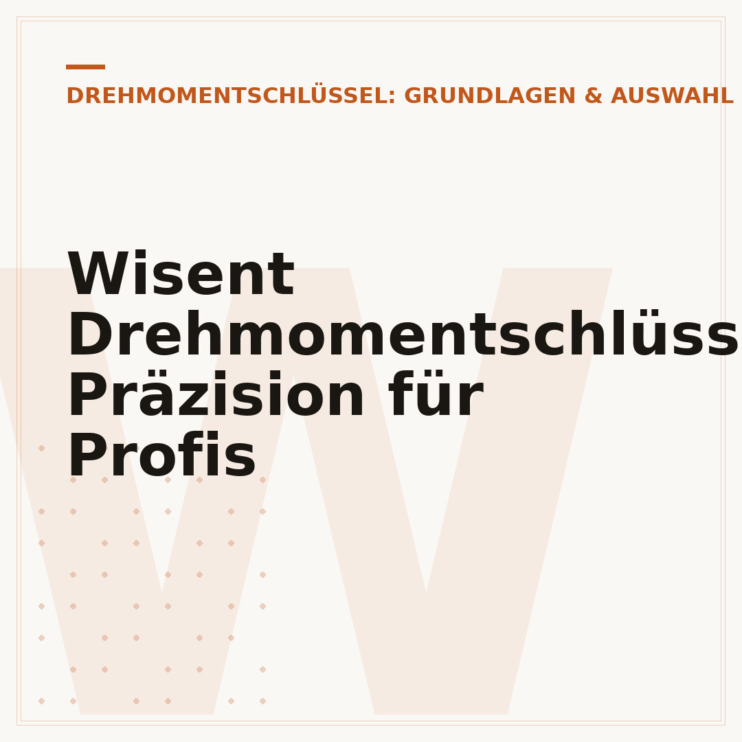 Wisent Drehmomentschlüssel: Präzision für Profis