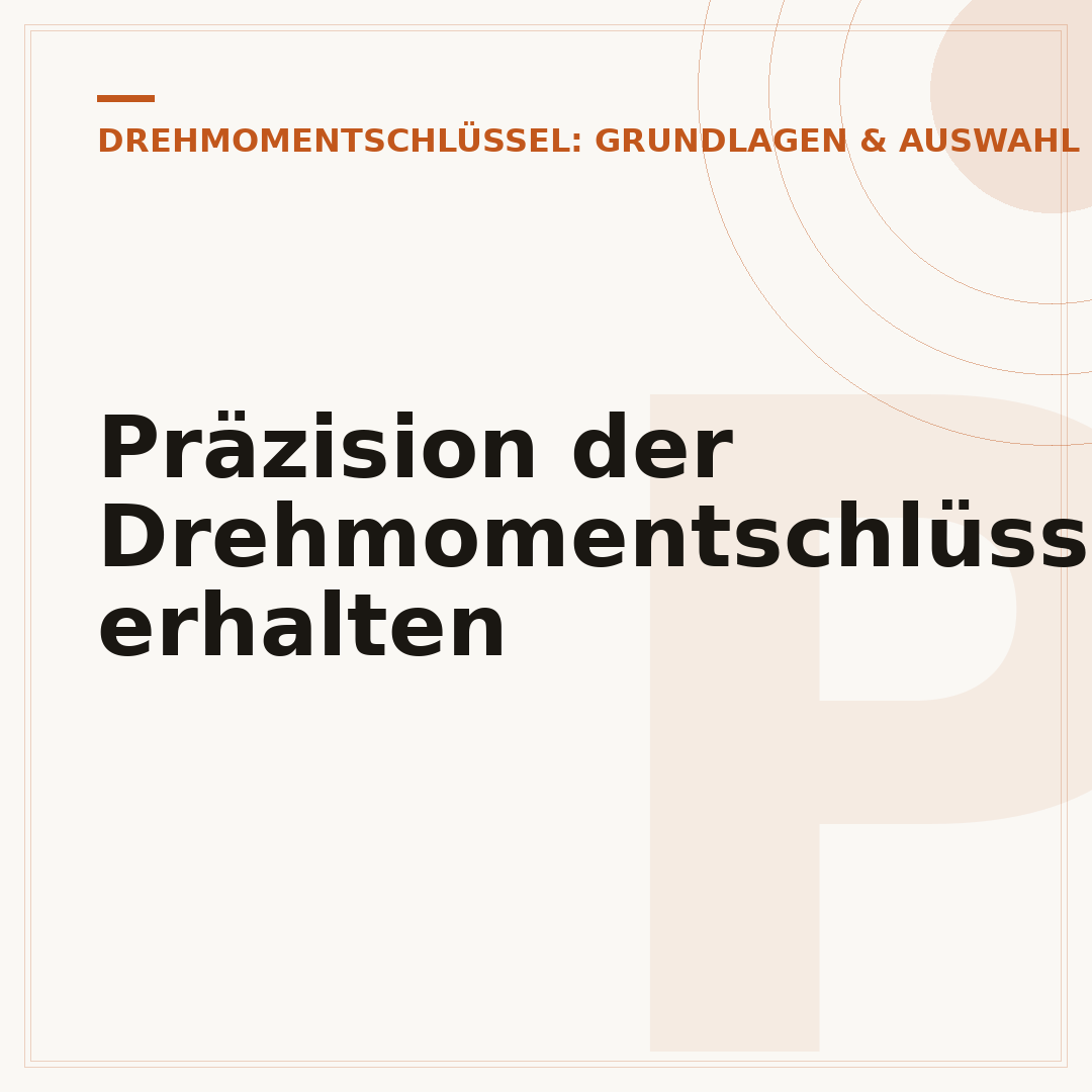 Präzision der Drehmomentschlüssel-Feder erhalten
