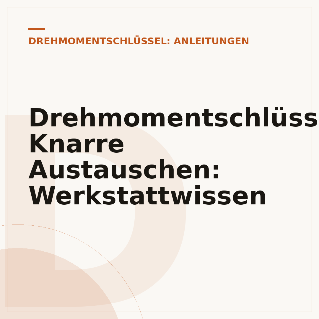 Drehmomentschlüssel Knarre Austauschen: Werkstattwissen