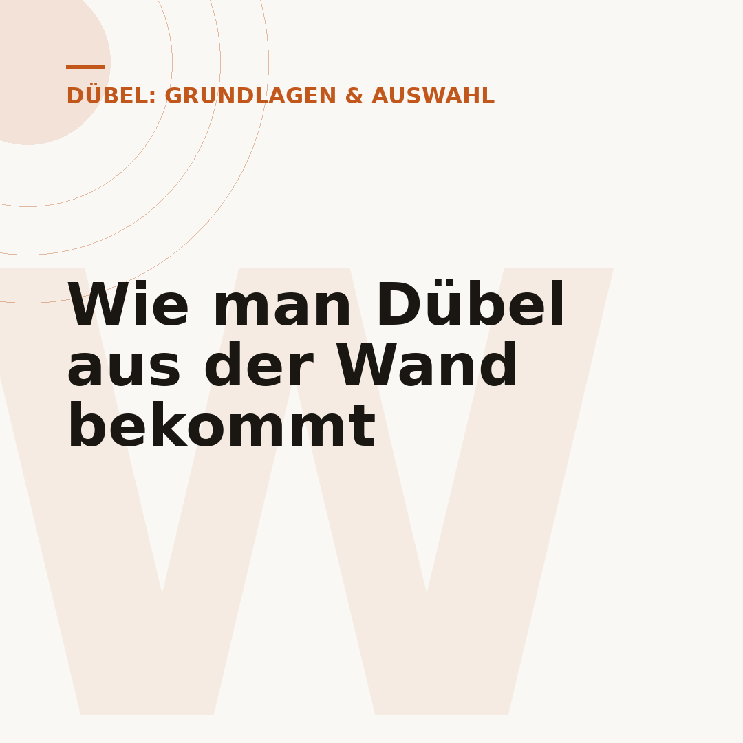 Wie man Dübel aus der Wand bekommt
