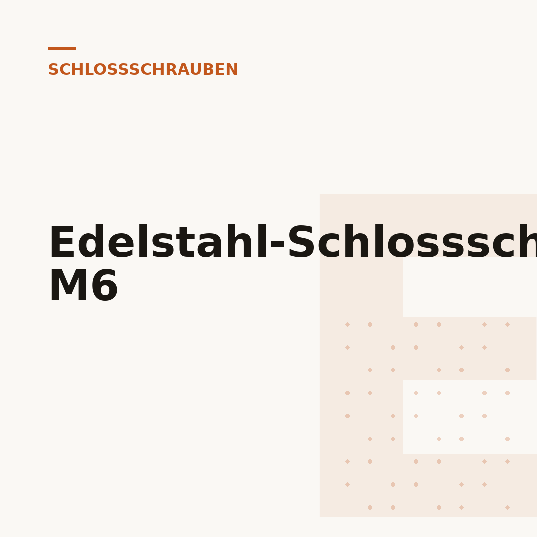 Edelstahl-Schlossschrauben M6