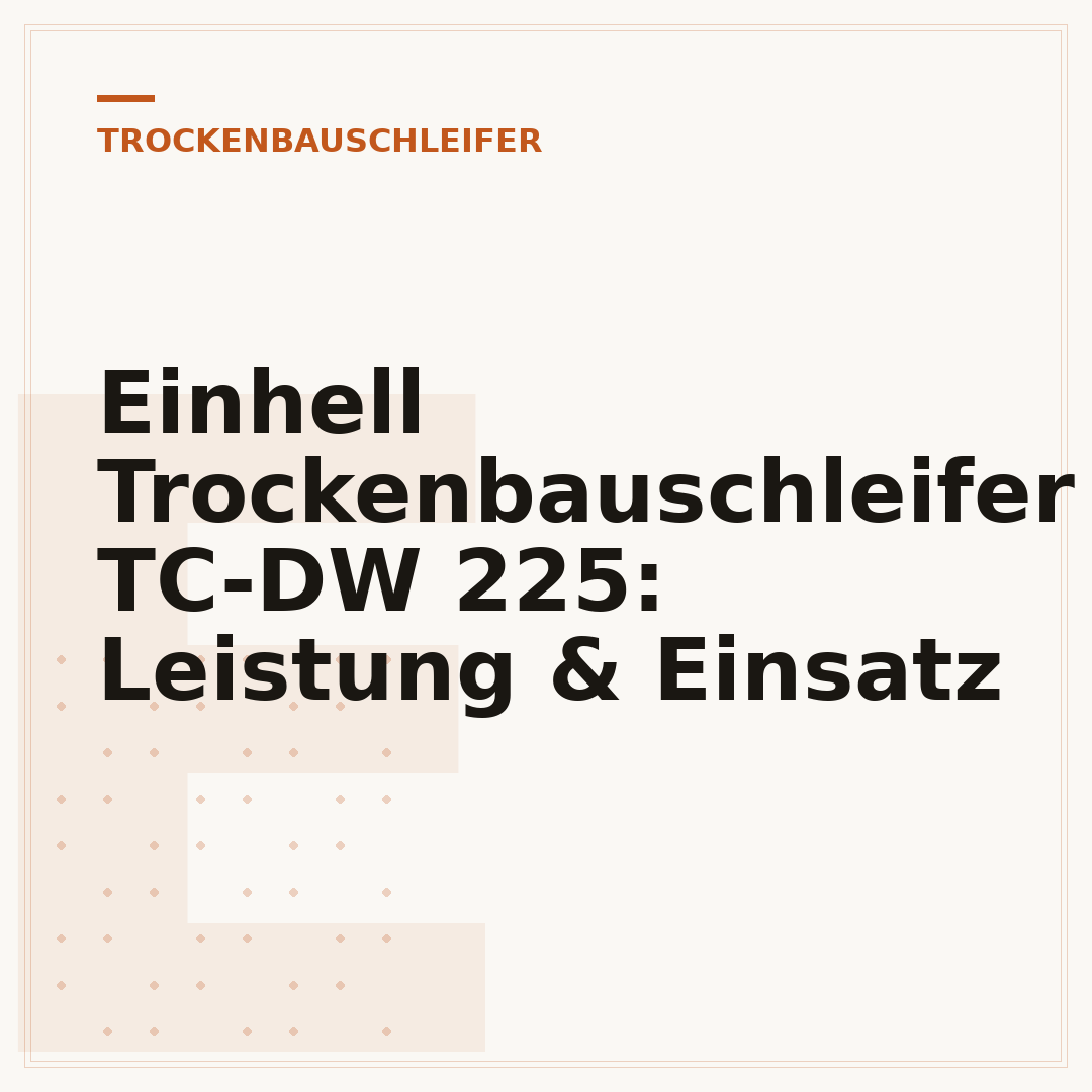 Einhell Trockenbauschleifer TC-DW 225: Leistung & Einsatz