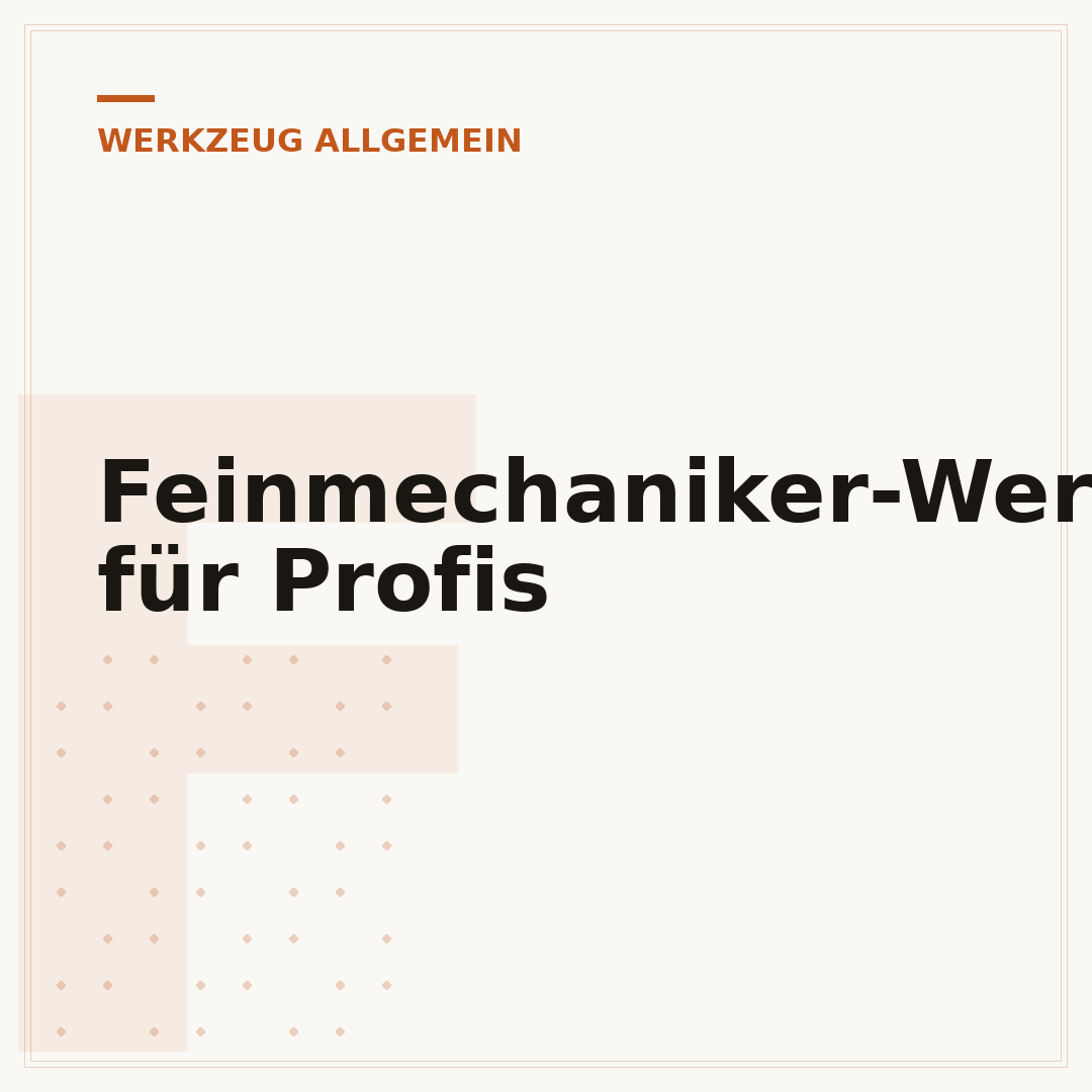 Feinmechaniker-Werkzeug-Set für Profis