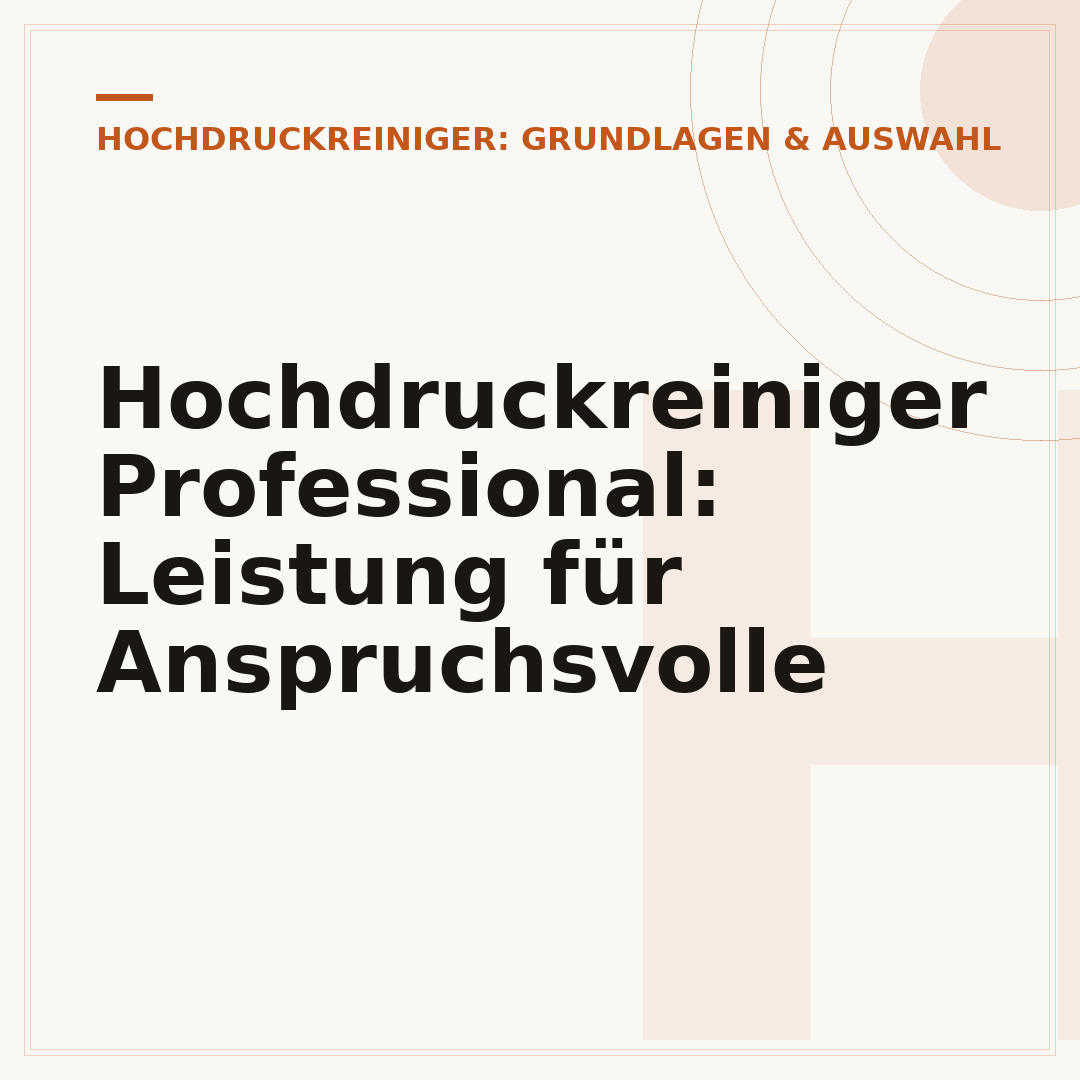 Hochdruckreiniger Professional: Leistung für Anspruchsvolle