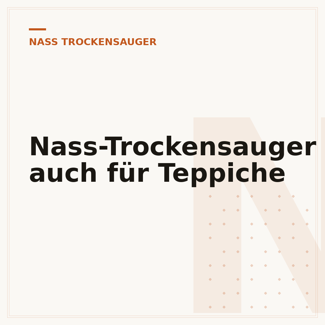 Nass-Trockensauger auch für Teppiche
