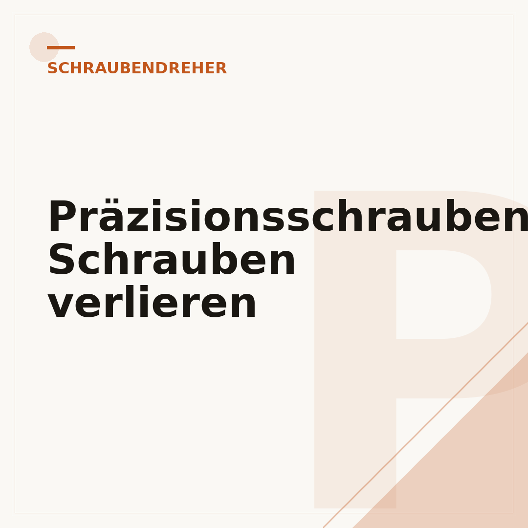 Präzisionsschraubendreher: Schrauben verlieren