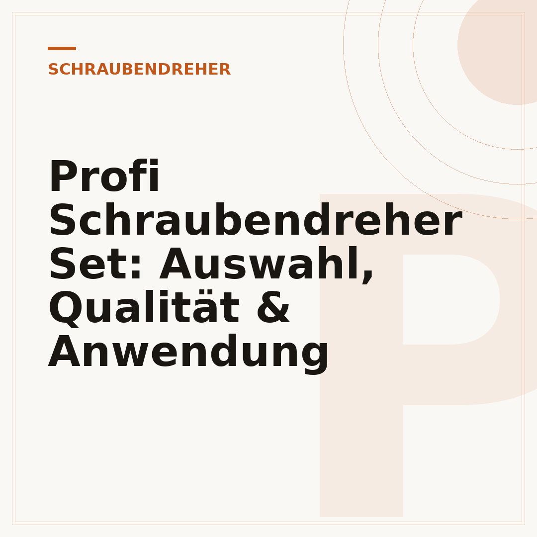 Profi Schraubendreher Set: Auswahl, Qualität & Anwendung