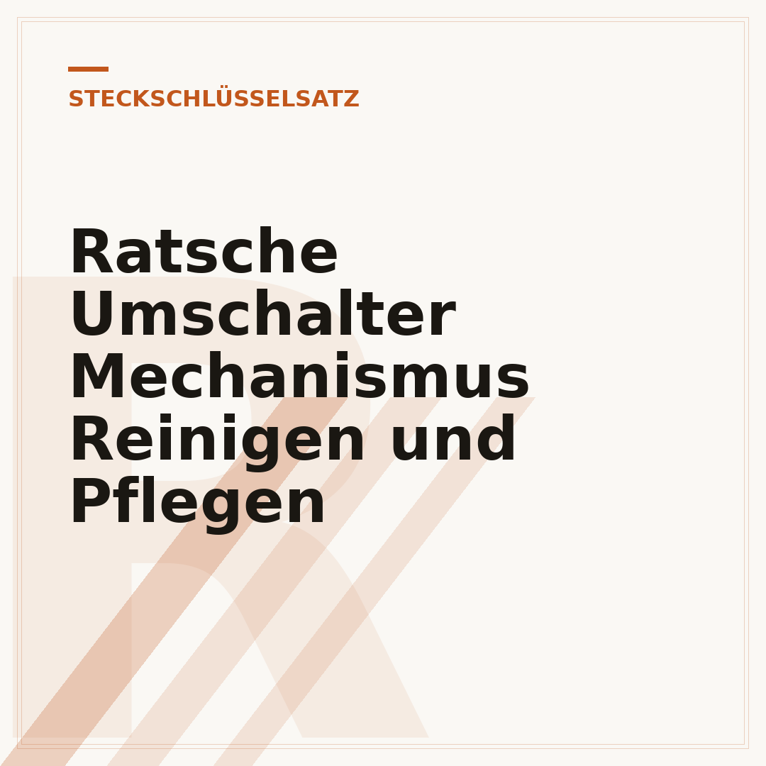 Ratsche Umschalter Mechanismus Reinigen und Pflegen