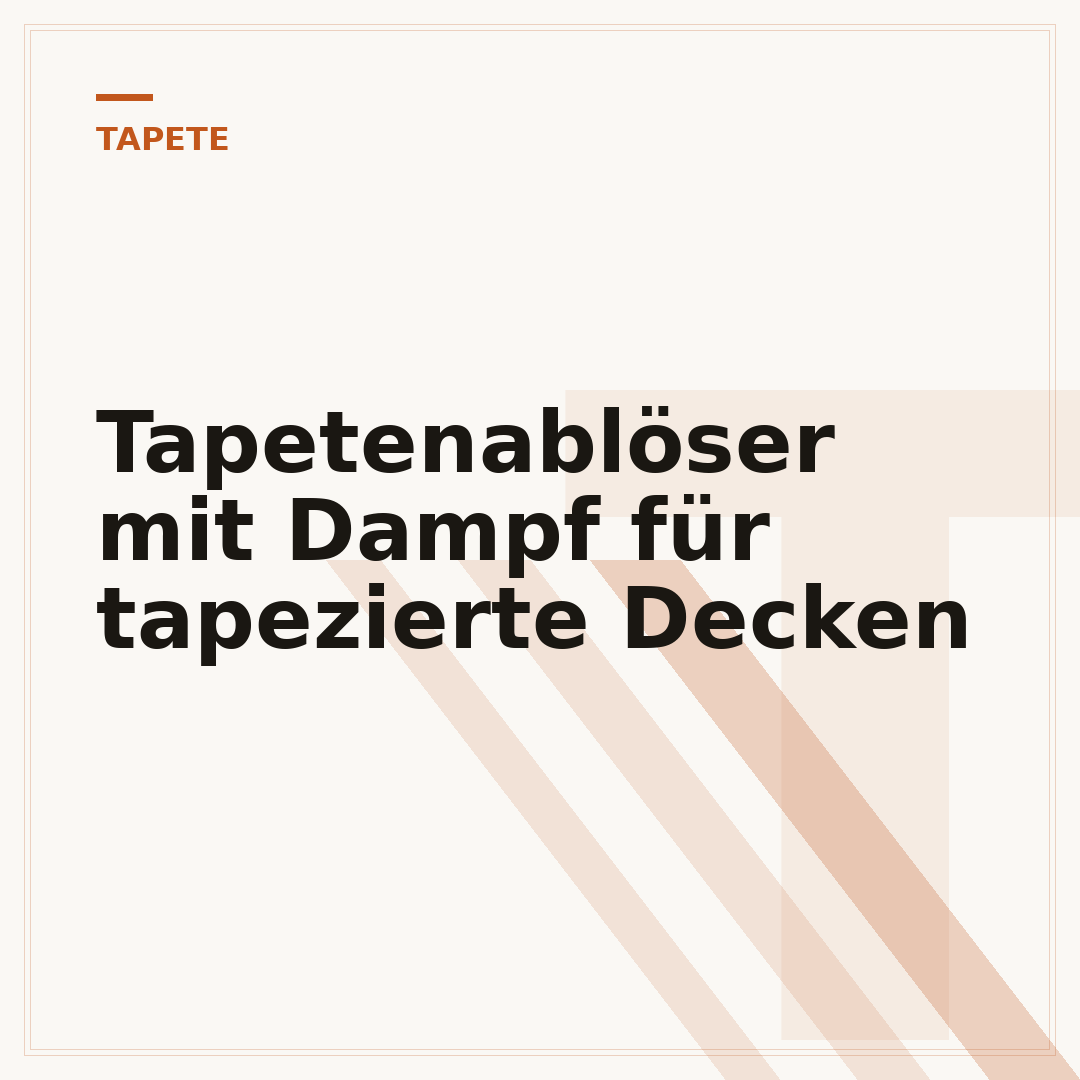 Tapetenablöser mit Dampf für tapezierte Decken