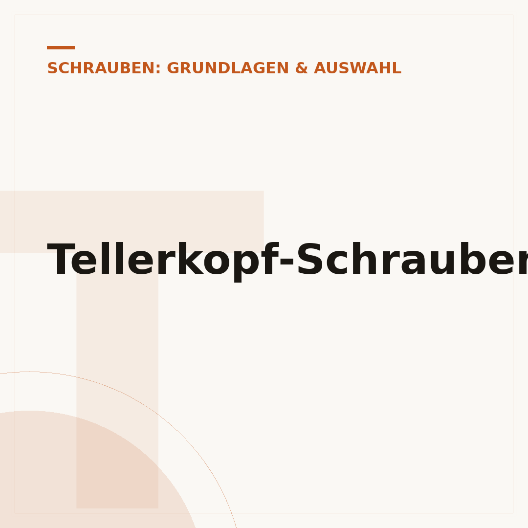 Tellerkopf-Schrauben