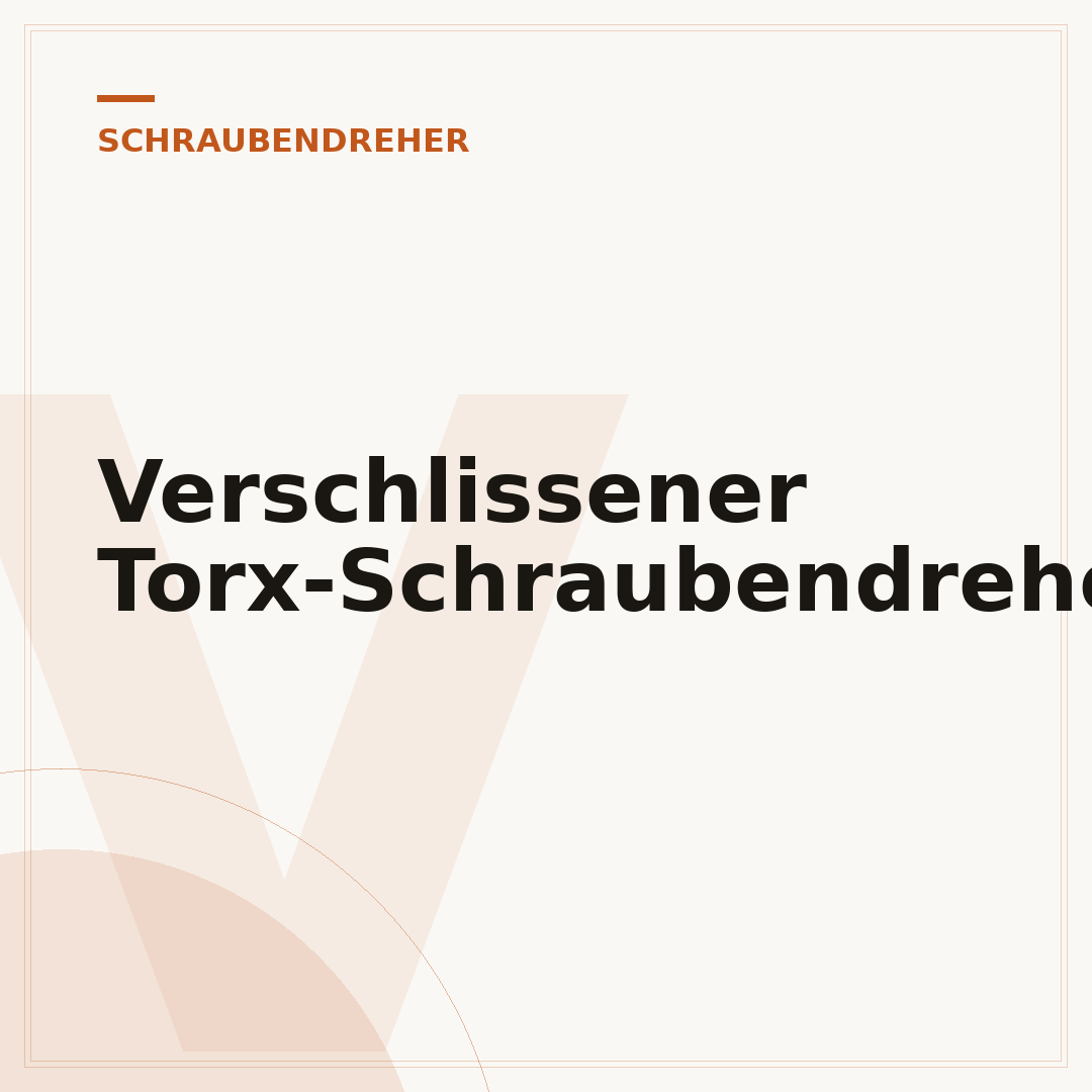 Verschlissener Torx-Schraubendreher-Bit
